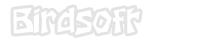Birdsoft LLC